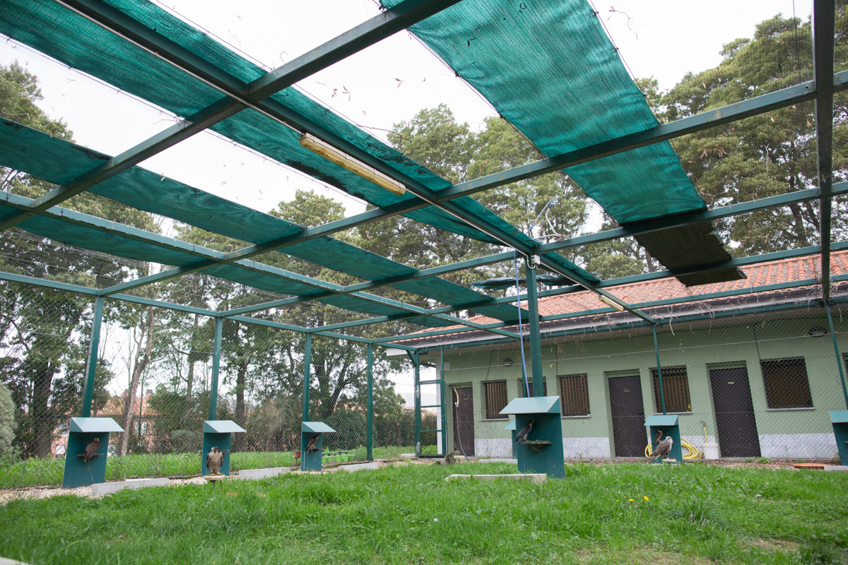 Cerca de la pista se encuentra el núcleo de los técnicos para el control de fauna de la Diputación Foral de Bizkaia