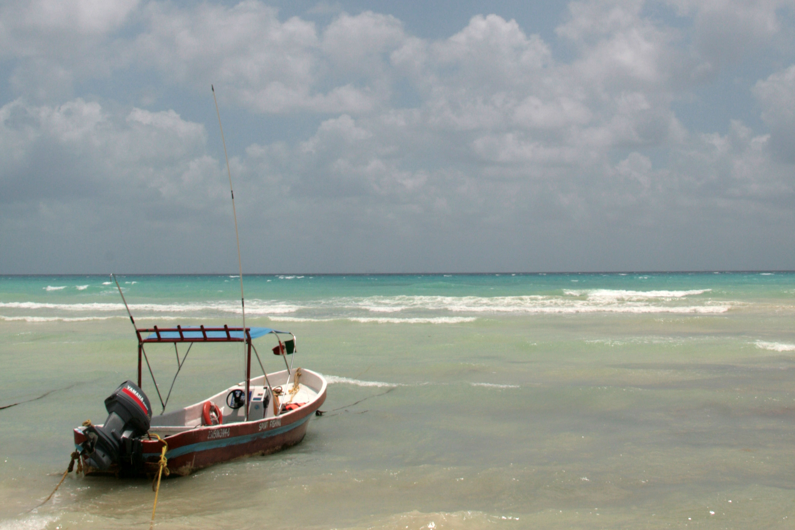 Si bien el turismo es el sector que alimenta a Cancún, Puerto Juárez obtiene el segundo puesto, donde se obtiene entre 1 y 10 toneladas de pescado al día.