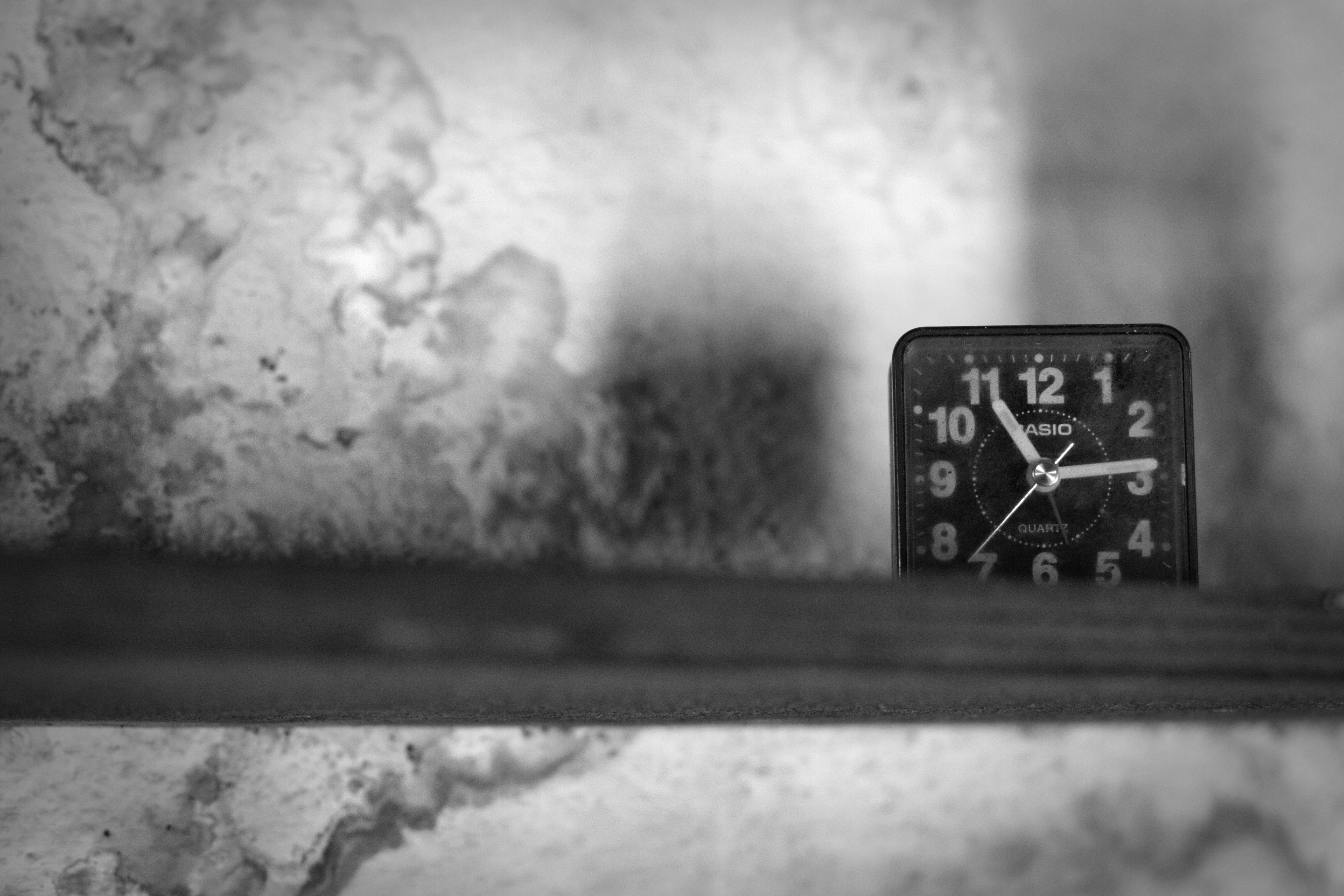 Minutos contados: el tiempo está contado para una profesión de más de 5.000 años de antigüedad como la de pastor. Condenada a la extinción.